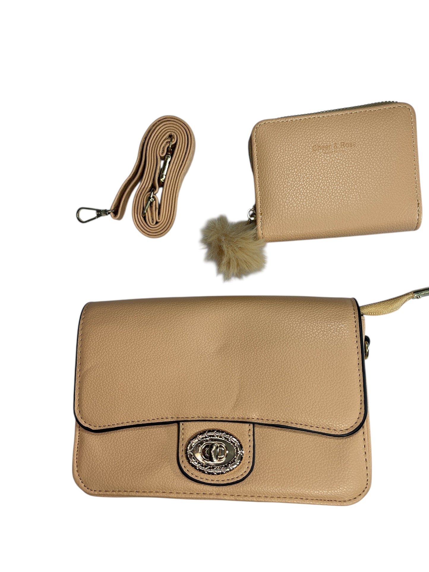 Bolso de Mujer, incluye monedero y correa para colgar, Medidas 20X 14CM-MS587