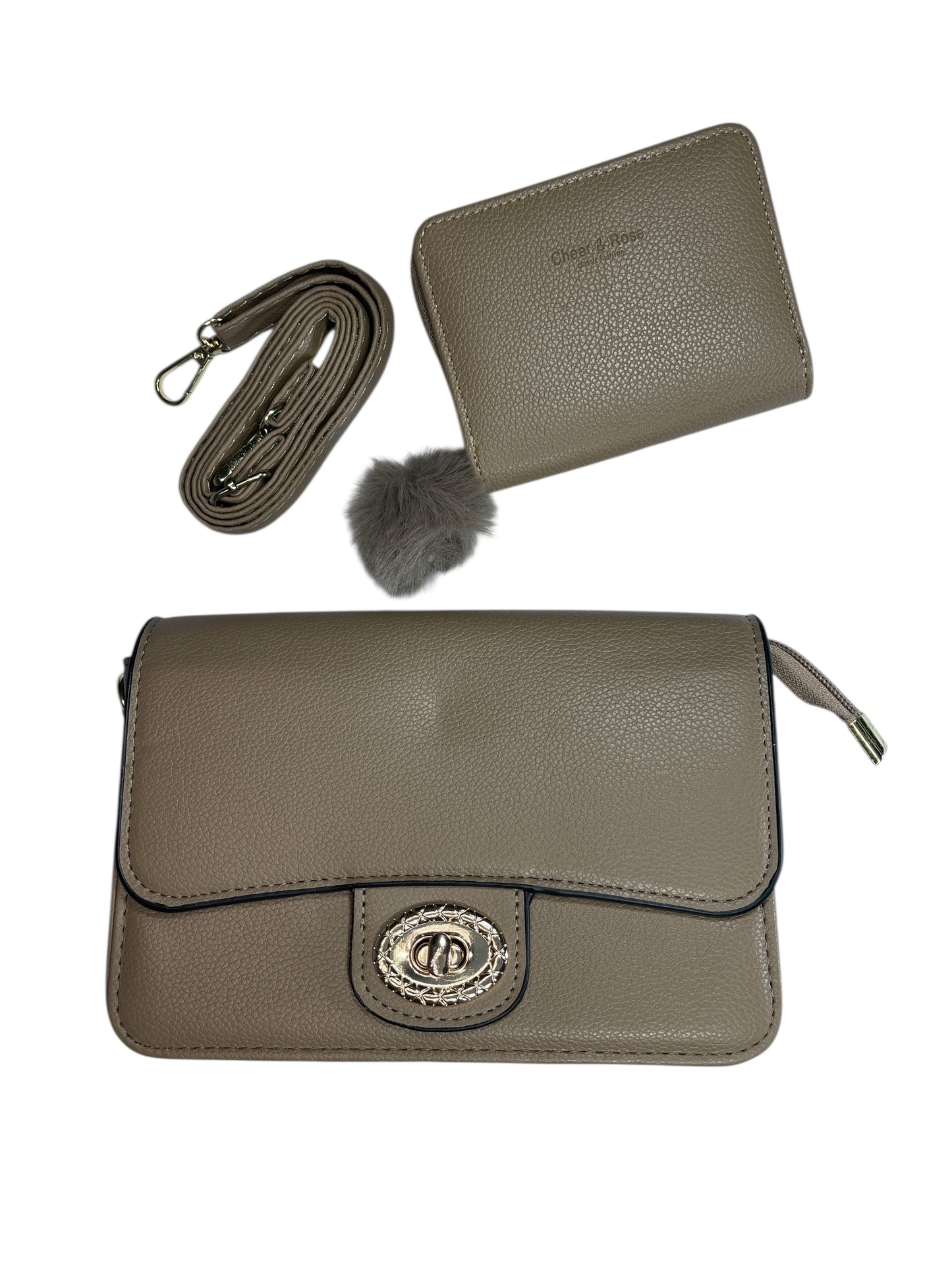 Bolso de Mujer, incluye monedero y correa para colgar, Medidas 20X 14CM-MS587